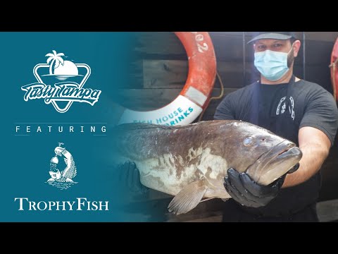 TROPHY FISH I St. Pete Fresh Fish I Tasty Tampa