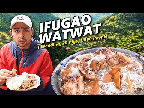 Eating Authentic WATWAT sa IFUGAO! 1 Wedding, 20 Pigs, 1,000 People! RARE Ifugao Wedding in 24 hrs!
