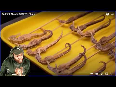 CHICAGO DUDES REACTION TO An Idiot Abroad S01E01  China
