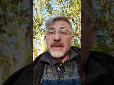 Evangelio del Nuestro Señor Jesucristo Con el Padre Fabian Esteban Oliva. 24/04/26