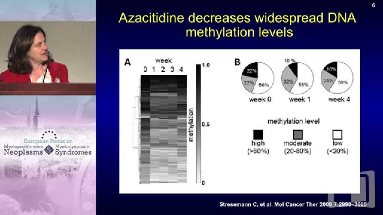 Understanding Efficacy of Azacitidine in Different MDS Subgroups - YouTube