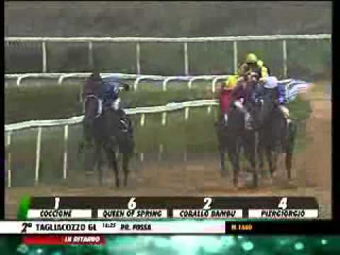 27/07/2014, Tagliacozzo , Premio Fossa