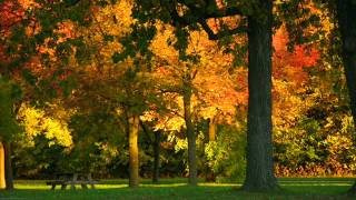 Mutemath - Lost Year