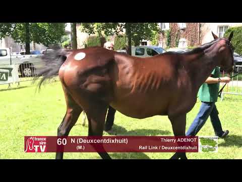 Sprinter Sacré Show 2018 : Lot 60 - N (Deuxcentdixhuit)