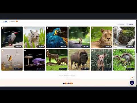 PicsDrop Video: How to Sell Photos Online with PicsDrop | Photo Selling Feature Tutorial