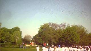 preview picture of video 'Ballonmassenstart in Erkelenz (Ziegelweiher) am 6. Mai 2013 (06.05.13)'