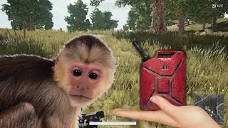 Download lagu 100% kebodohan Milyhya mp3