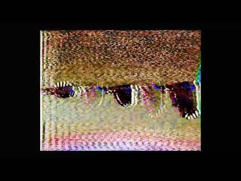Video thumbnail for Gatekeepers