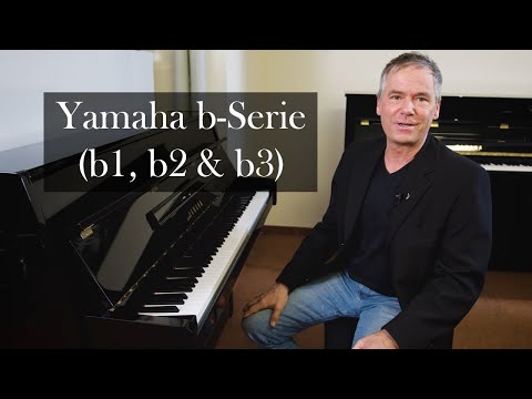 Yamaha b-Serie (b1, b2 & b3)