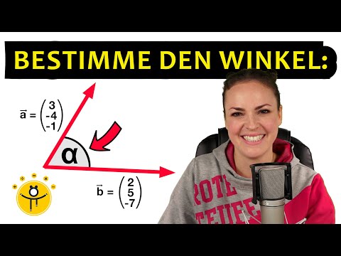 Winkel zwischen zwei Vektoren – Vektorrechnung