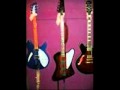 birds on wires.wmv