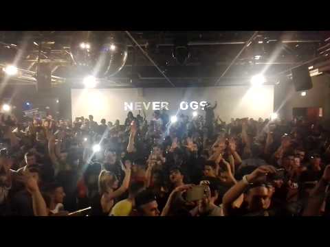 Neverdogs crazy closure