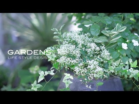 aménagement jardin paysager -autour-piscine-parterres-fleurs-gazon