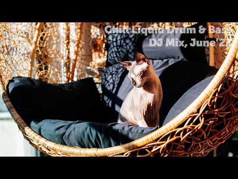 Liquid Drum & Bass DJ Mix, June'22