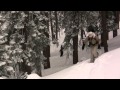 REI Yosemite Backcountry Snowboarding 