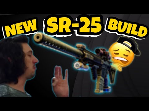 This Is The BEST IN SLOT SR-25 That You Can Build In Tarkov!