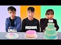 SMALL Vs MEDIUM Vs BIG Food Challenge Lucas And Marcus