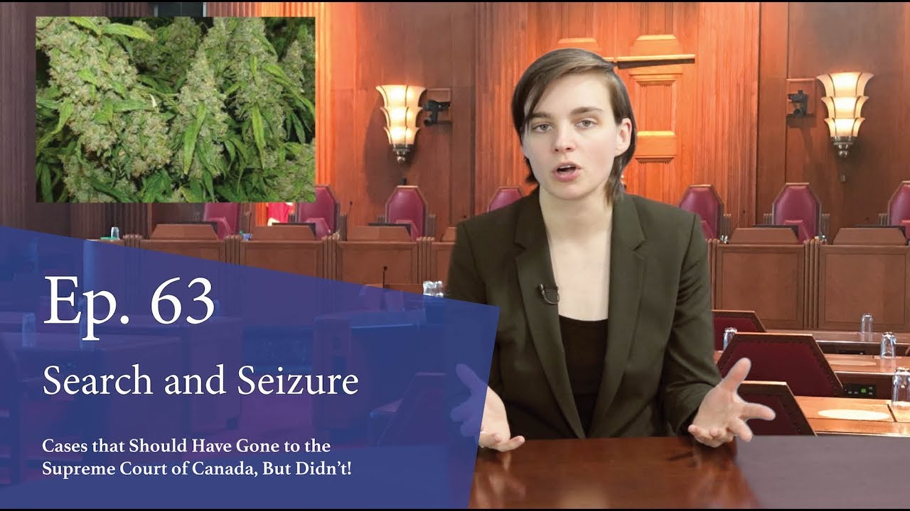 Search and Seizure: Cases That Should Have Gone to the Supreme Court of Search and Seizure: Cases That Should Have Gone to the Supreme Court of