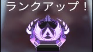 【APEX】アリーナランクプラチナコンバーター無双