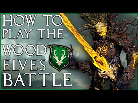 How to play the Wood Elf Roster & Battle Strategy | Total War: Warhammer 2