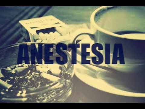 ANESTESIA | GIO NS FT BENCK