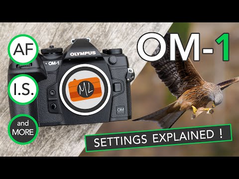 OM-1 Settings Explained (AF, IBIS, Buttons) - For Birds in Flight, Motorsports and More!