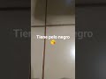 El Que Me Gusta