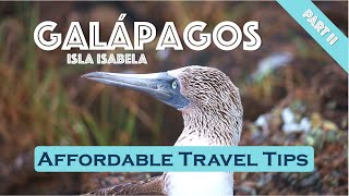 Galapagos Islands Travel Guide - ISLA ISABELA on a budget | 4k Vlog Part II 🐠🤿 #travelguide