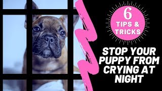 How To Stop Your Puppy From Crying At Night 6 Tips & Tricks