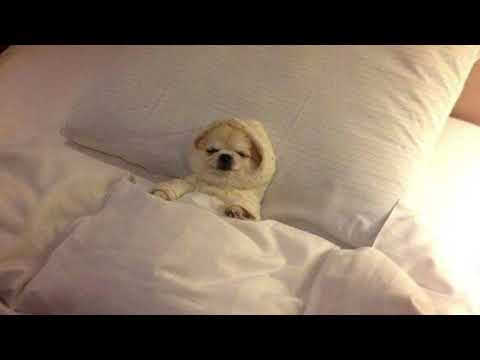 BDB Squl ft.Slang & Ева - Все,кто спит(Remix) (2001)