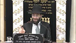 הרב משה יוסף • הלכות בורר אוכל מתוך אוכל