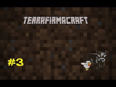 TerraFirmaCraft #3 "Platform Base"