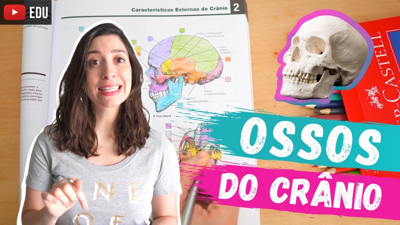 Ossos do crânio: Anatomia para Colorir!