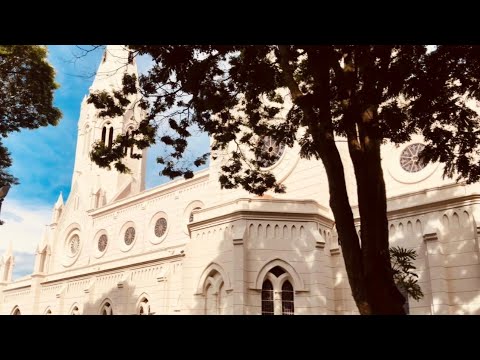 Cidade de São Manuel-SP 