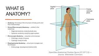 Anatomy & Physiology: The Ultimate Beginner's Guide | Dr. Bee's Tutorials
