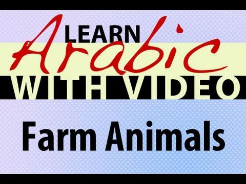 Learn Arabic with Video - Farm Animals