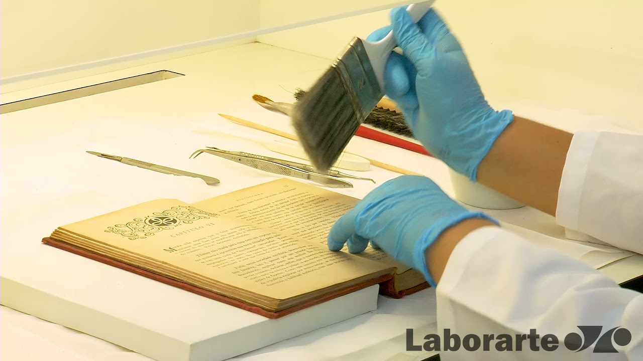 Conservação e restauração de acervos bibliográficos e documentais