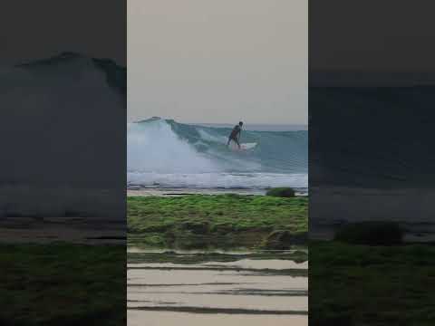 Regular Joe Snags A Long One On The Bukit #Shorts