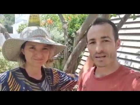 דניאל וירדן מלמוד