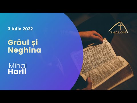 Shalom Vaslui - 3 Iul - Grâul și Neghina - Mihai Harii