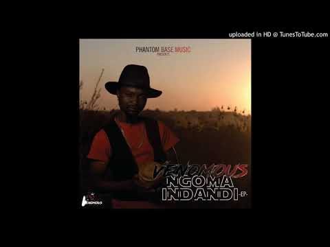 Venomous ft Prince Passion - kill dem with style (Offical Audio)