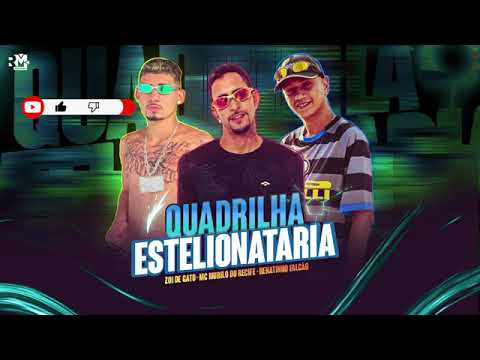 MC MURILO DO RECIFE, MC ZOI DE GATO FEAT. RENATINHO FALCÃO  - QUADRILHA ESTELIONATÁRIA