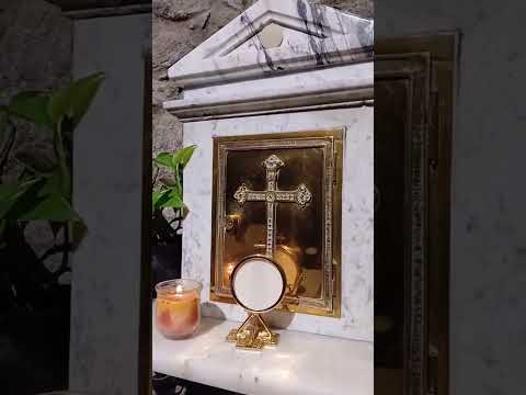 Adoración al Santísimo Sacramento del Altar con el Padre Fabian Esteban Oliva. 24/05/26