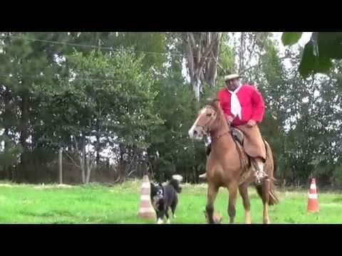 Jessé Santos - Gaúcho Trovador  - Vídeo Clip