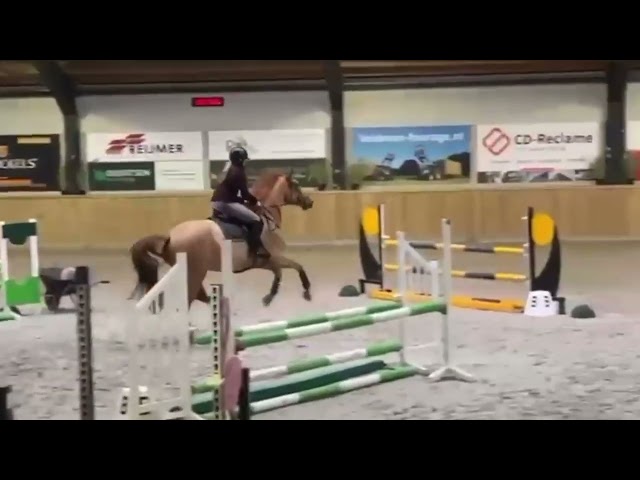 Oradu S showvideo