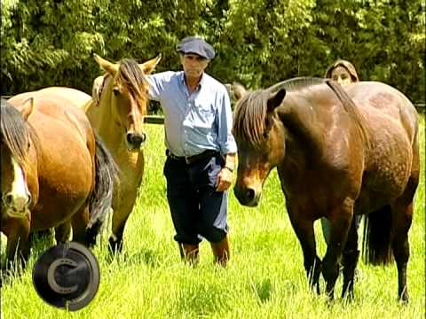 Capanegra, since 2005 in the Freio final.