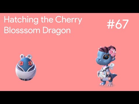 Hatching the Cherry Blossom Dragon | DML Gameplay #67