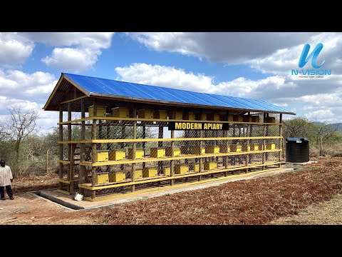 Ep.9 Apiary Revolution: Modern Techniques for Beekeeping Success