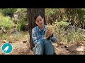 What Can We Learn From A Black Bear S Skull