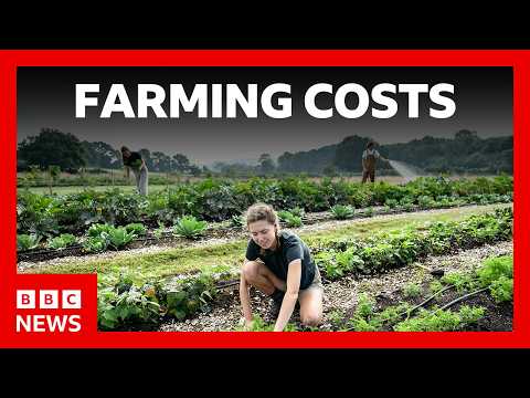 Farmers face soaring costs from Iran war | BBC News